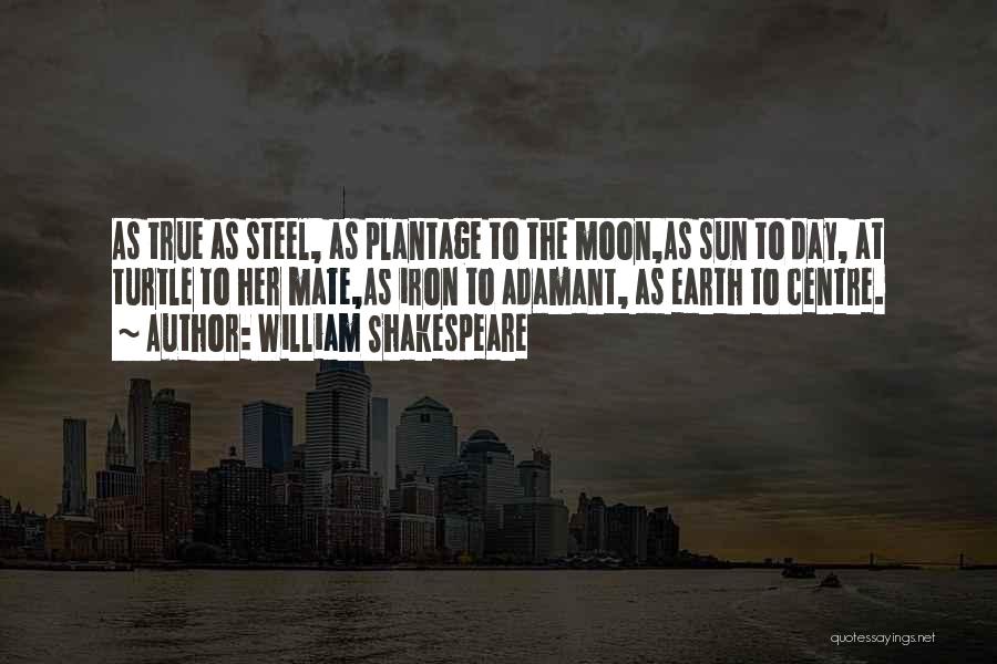 William Shakespeare Quotes: As True As Steel, As Plantage To The Moon,as Sun To Day, At Turtle To Her Mate,as Iron To Adamant,