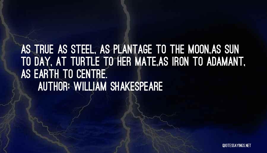 William Shakespeare Quotes: As True As Steel, As Plantage To The Moon,as Sun To Day, At Turtle To Her Mate,as Iron To Adamant,