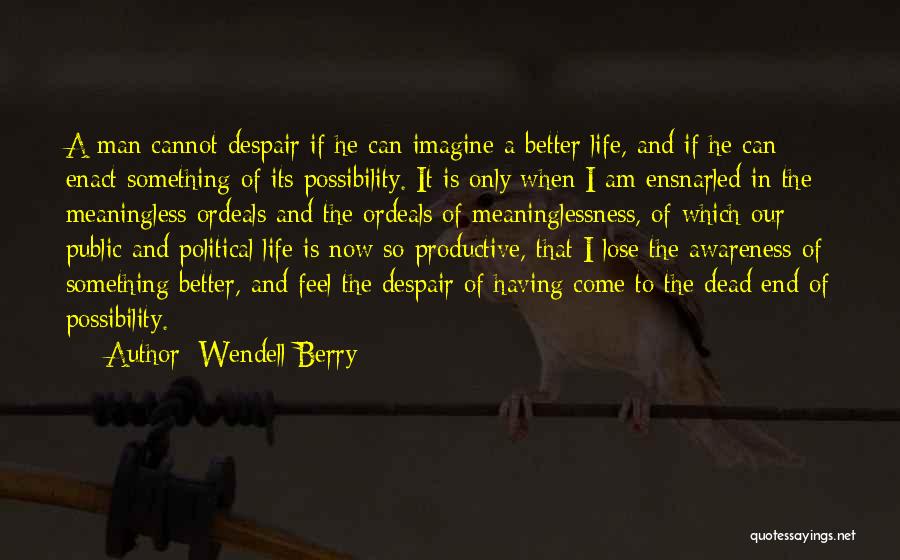 Wendell Berry Quotes: A Man Cannot Despair If He Can Imagine A Better Life, And If He Can Enact Something Of Its Possibility.