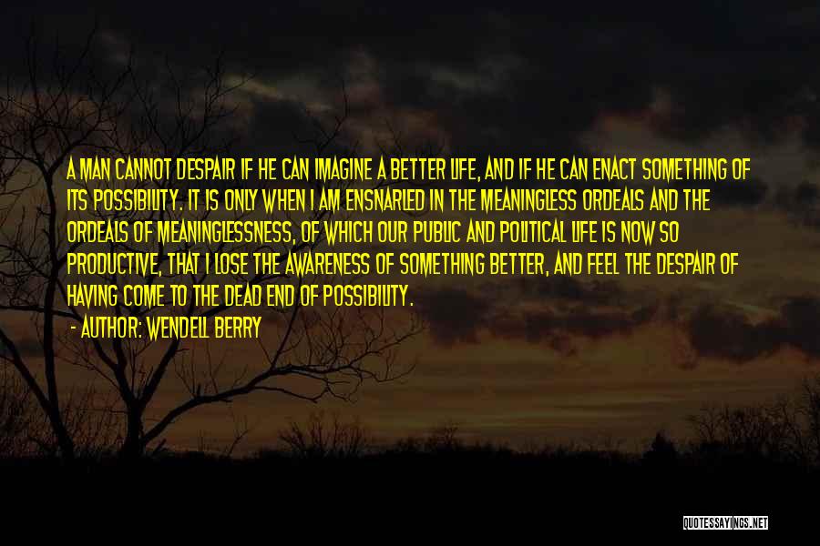 Wendell Berry Quotes: A Man Cannot Despair If He Can Imagine A Better Life, And If He Can Enact Something Of Its Possibility.