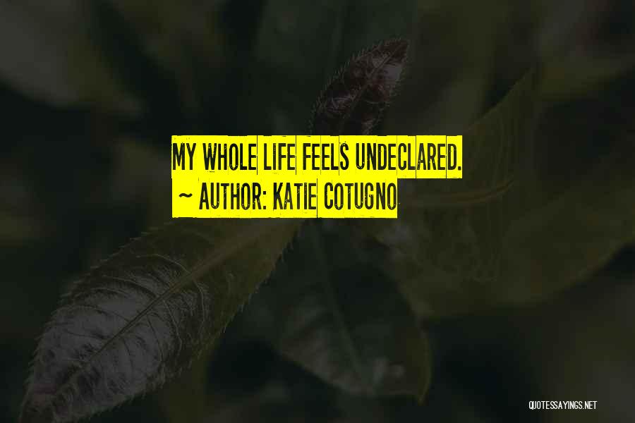 Katie Cotugno Quotes: My Whole Life Feels Undeclared.