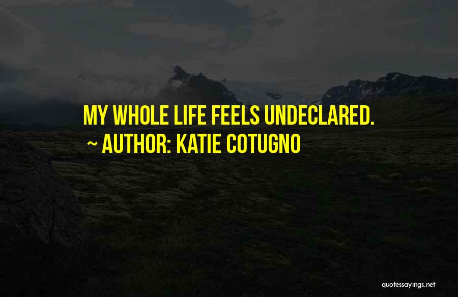 Katie Cotugno Quotes: My Whole Life Feels Undeclared.