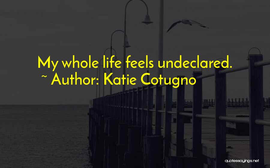 Katie Cotugno Quotes: My Whole Life Feels Undeclared.