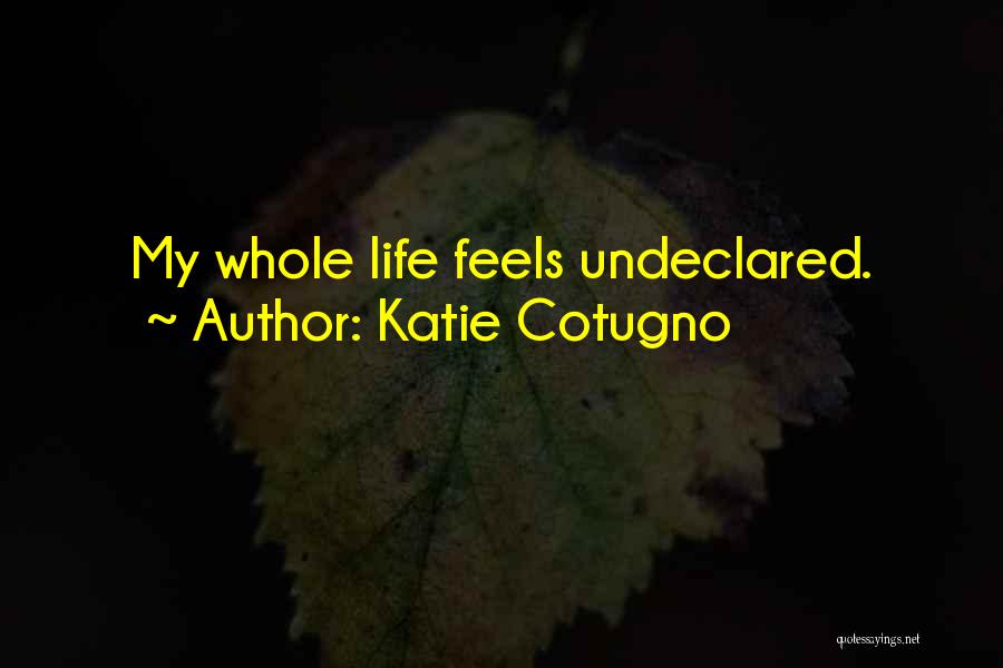 Katie Cotugno Quotes: My Whole Life Feels Undeclared.