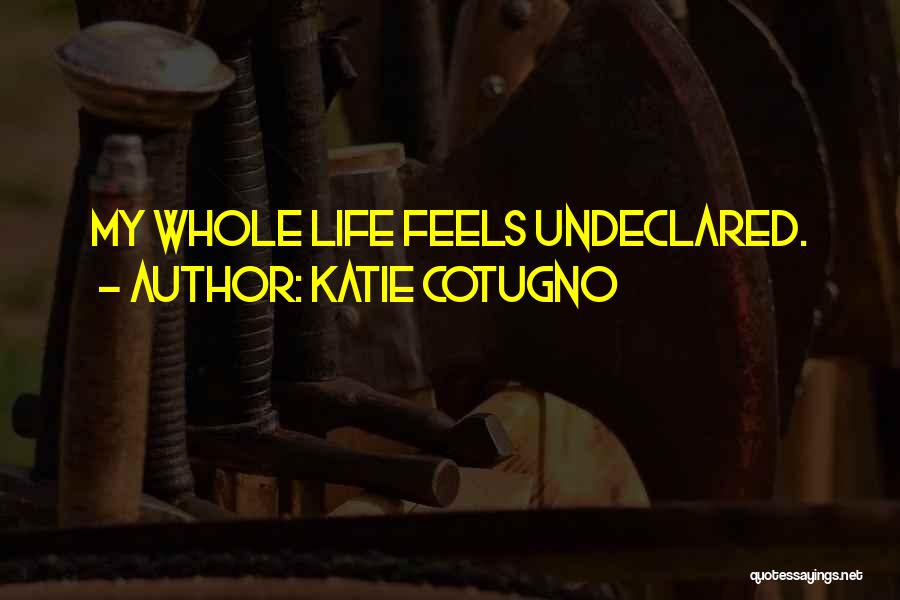 Katie Cotugno Quotes: My Whole Life Feels Undeclared.