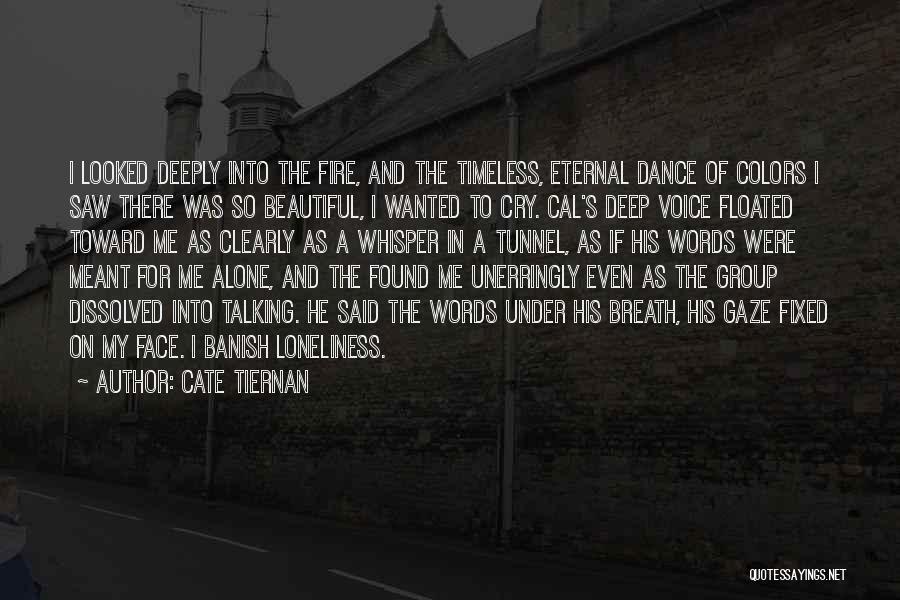 Cate Tiernan Quotes: I Looked Deeply Into The Fire, And The Timeless, Eternal Dance Of Colors I Saw There Was So Beautiful, I