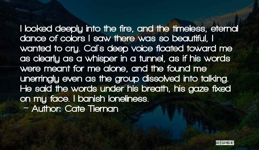 Cate Tiernan Quotes: I Looked Deeply Into The Fire, And The Timeless, Eternal Dance Of Colors I Saw There Was So Beautiful, I