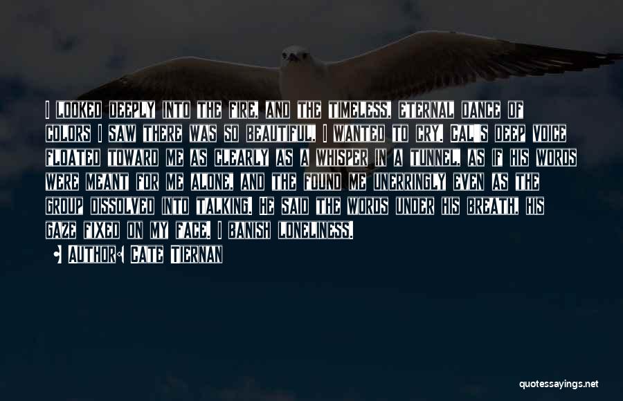 Cate Tiernan Quotes: I Looked Deeply Into The Fire, And The Timeless, Eternal Dance Of Colors I Saw There Was So Beautiful, I