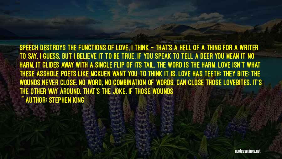 Stephen King Quotes: Speech Destroys The Functions Of Love, I Think - That's A Hell Of A Thing For A Writer To Say,