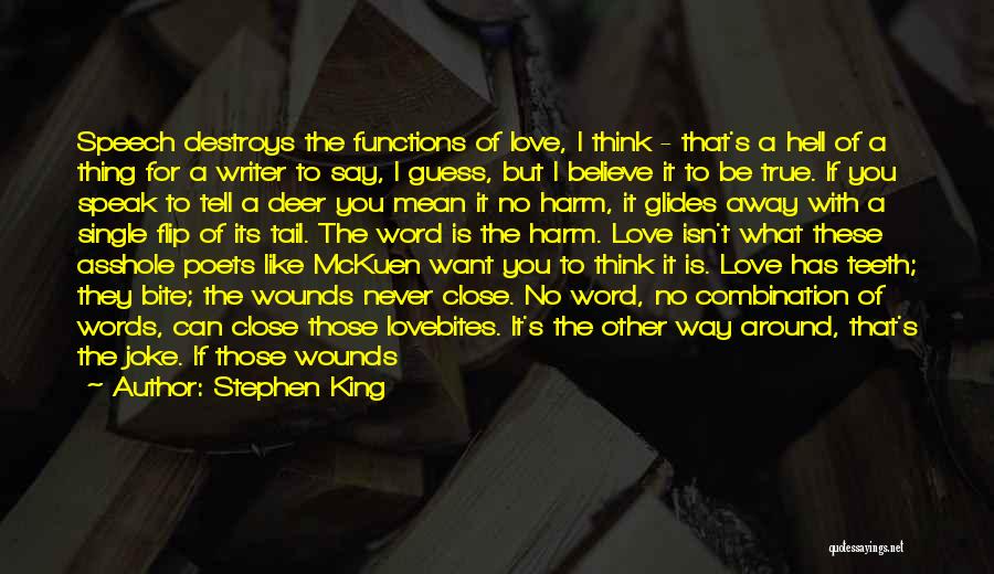 Stephen King Quotes: Speech Destroys The Functions Of Love, I Think - That's A Hell Of A Thing For A Writer To Say,