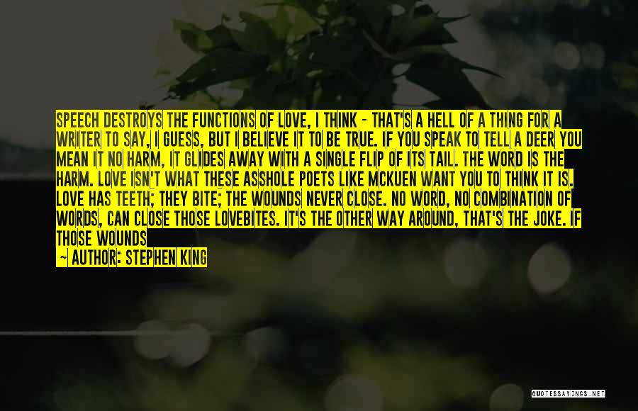 Stephen King Quotes: Speech Destroys The Functions Of Love, I Think - That's A Hell Of A Thing For A Writer To Say,