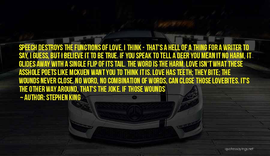 Stephen King Quotes: Speech Destroys The Functions Of Love, I Think - That's A Hell Of A Thing For A Writer To Say,