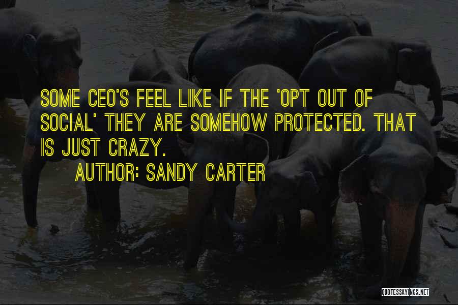 Sandy Carter Quotes: Some Ceo's Feel Like If The 'opt Out Of Social' They Are Somehow Protected. That Is Just Crazy.