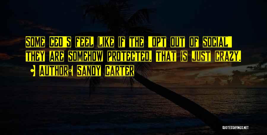 Sandy Carter Quotes: Some Ceo's Feel Like If The 'opt Out Of Social' They Are Somehow Protected. That Is Just Crazy.