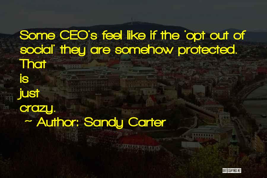 Sandy Carter Quotes: Some Ceo's Feel Like If The 'opt Out Of Social' They Are Somehow Protected. That Is Just Crazy.