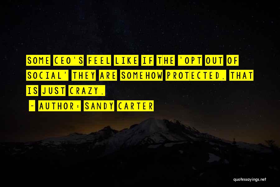 Sandy Carter Quotes: Some Ceo's Feel Like If The 'opt Out Of Social' They Are Somehow Protected. That Is Just Crazy.