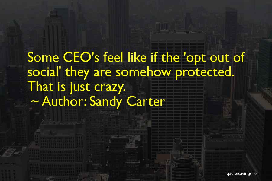 Sandy Carter Quotes: Some Ceo's Feel Like If The 'opt Out Of Social' They Are Somehow Protected. That Is Just Crazy.