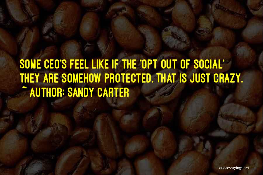 Sandy Carter Quotes: Some Ceo's Feel Like If The 'opt Out Of Social' They Are Somehow Protected. That Is Just Crazy.