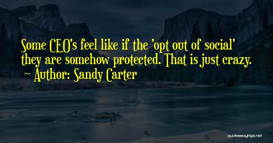 Sandy Carter Quotes: Some Ceo's Feel Like If The 'opt Out Of Social' They Are Somehow Protected. That Is Just Crazy.