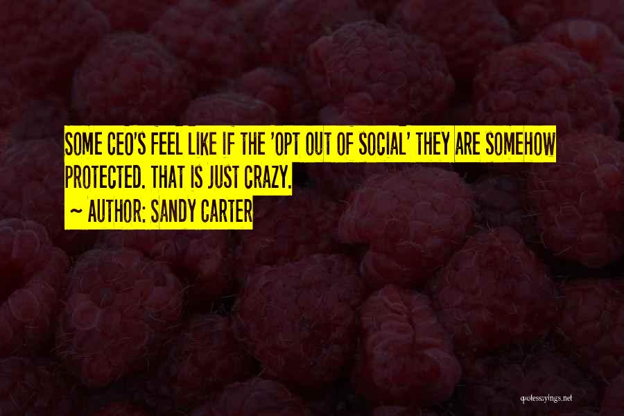Sandy Carter Quotes: Some Ceo's Feel Like If The 'opt Out Of Social' They Are Somehow Protected. That Is Just Crazy.