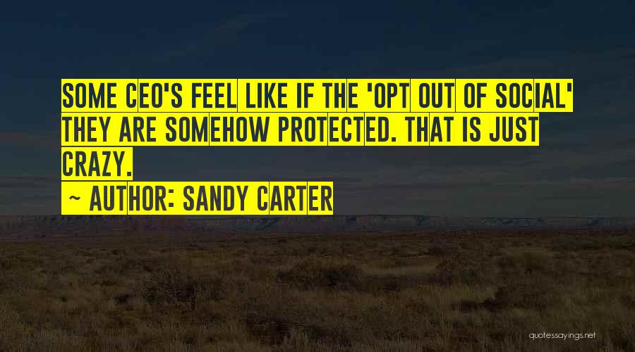 Sandy Carter Quotes: Some Ceo's Feel Like If The 'opt Out Of Social' They Are Somehow Protected. That Is Just Crazy.