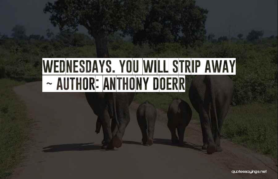 Anthony Doerr Quotes: Wednesdays. You Will Strip Away