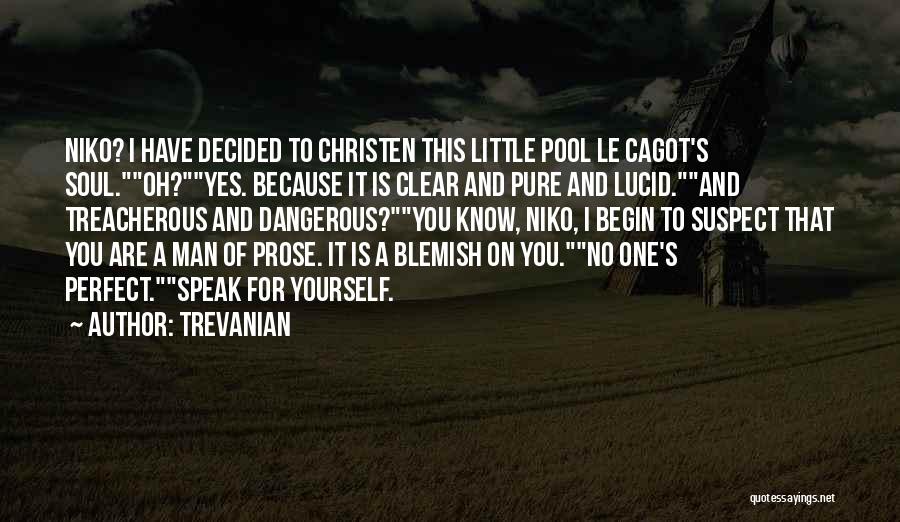 Trevanian Quotes: Niko? I Have Decided To Christen This Little Pool Le Cagot's Soul.oh?yes. Because It Is Clear And Pure And Lucid.and