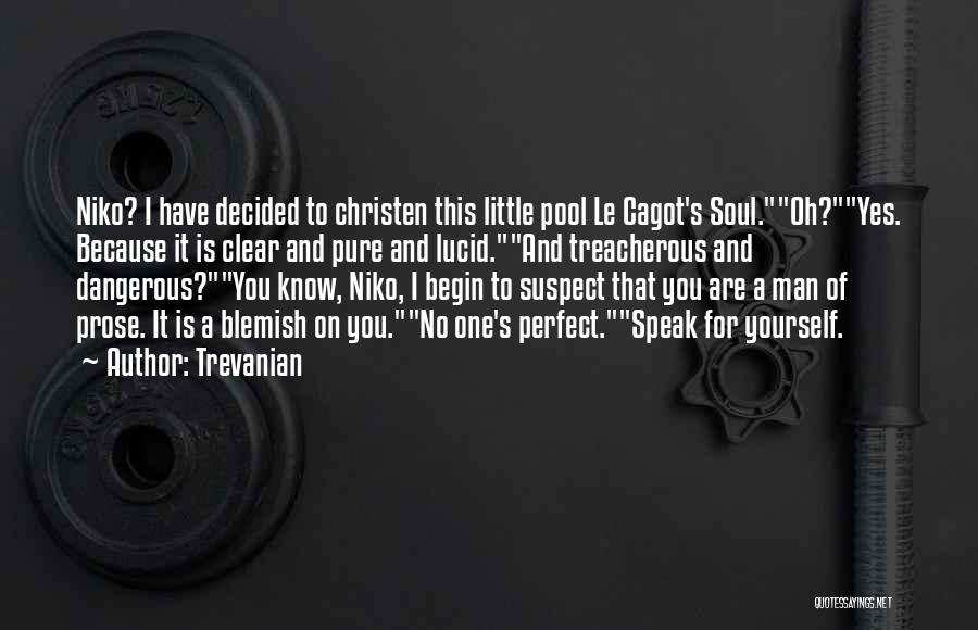 Trevanian Quotes: Niko? I Have Decided To Christen This Little Pool Le Cagot's Soul.oh?yes. Because It Is Clear And Pure And Lucid.and