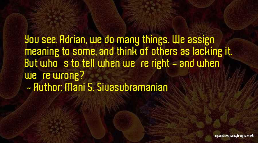 Mani S. Sivasubramanian Quotes: You See, Adrian, We Do Many Things. We Assign Meaning To Some, And Think Of Others As Lacking It. But