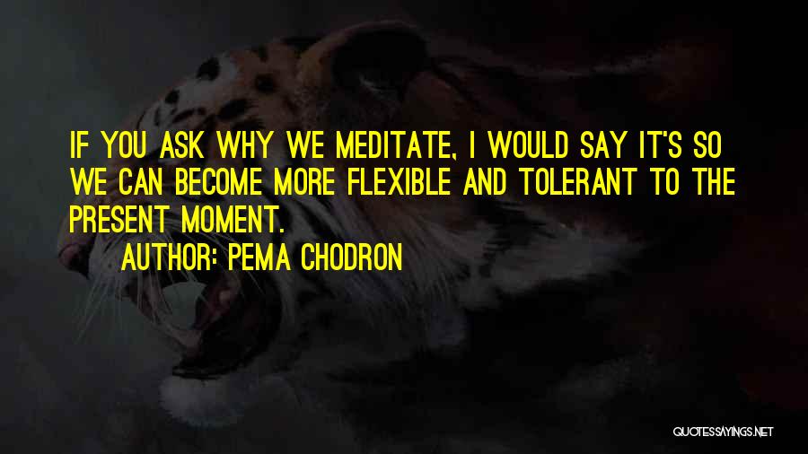 Pema Chodron Quotes: If You Ask Why We Meditate, I Would Say It's So We Can Become More Flexible And Tolerant To The