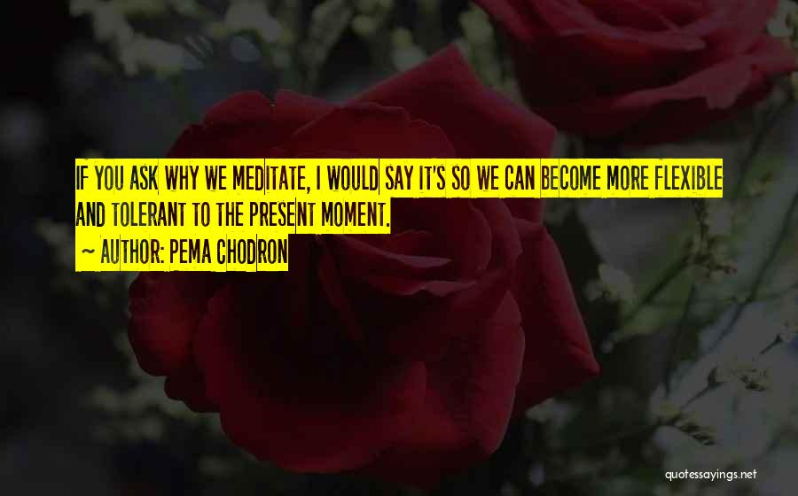 Pema Chodron Quotes: If You Ask Why We Meditate, I Would Say It's So We Can Become More Flexible And Tolerant To The