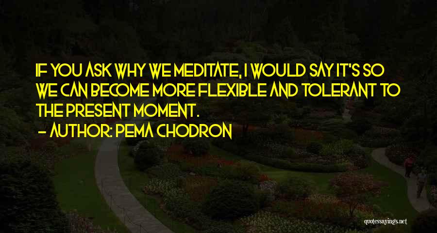 Pema Chodron Quotes: If You Ask Why We Meditate, I Would Say It's So We Can Become More Flexible And Tolerant To The