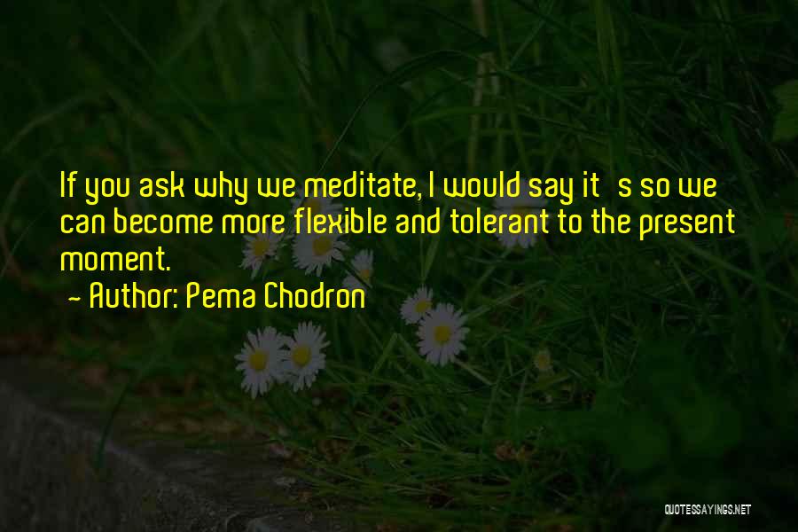 Pema Chodron Quotes: If You Ask Why We Meditate, I Would Say It's So We Can Become More Flexible And Tolerant To The