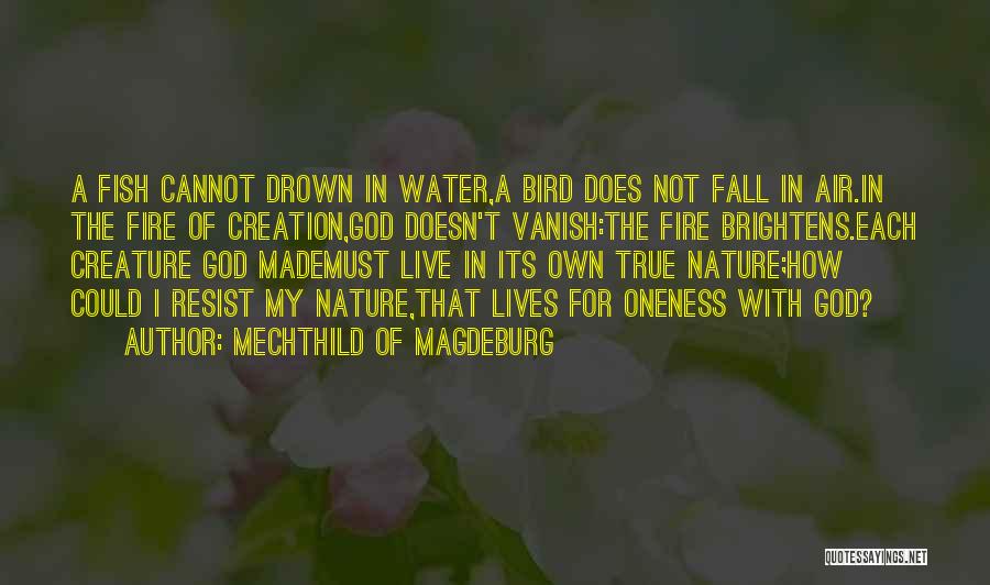 Mechthild Of Magdeburg Quotes: A Fish Cannot Drown In Water,a Bird Does Not Fall In Air.in The Fire Of Creation,god Doesn't Vanish:the Fire Brightens.each