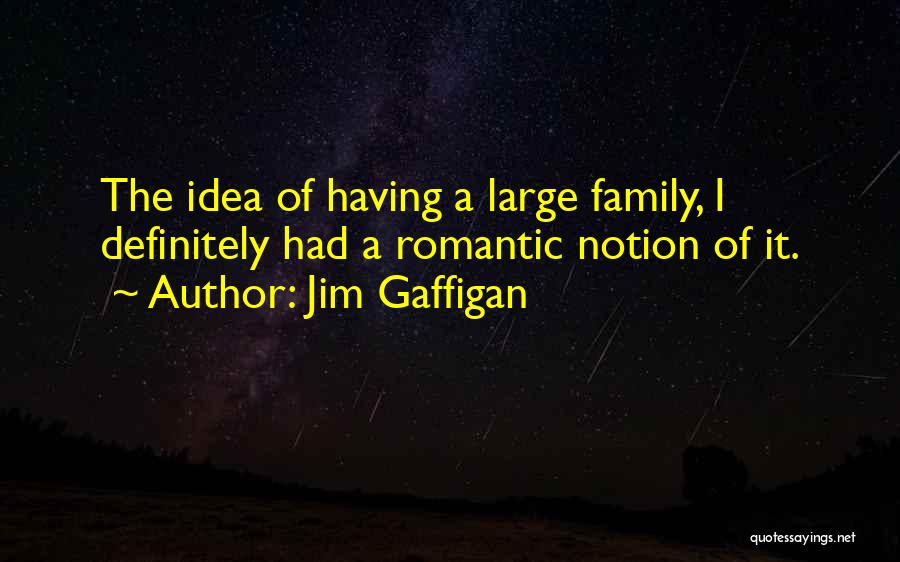 Jim Gaffigan Quotes: The Idea Of Having A Large Family, I Definitely Had A Romantic Notion Of It.
