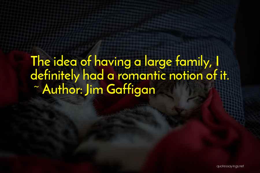 Jim Gaffigan Quotes: The Idea Of Having A Large Family, I Definitely Had A Romantic Notion Of It.