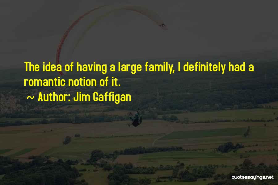 Jim Gaffigan Quotes: The Idea Of Having A Large Family, I Definitely Had A Romantic Notion Of It.