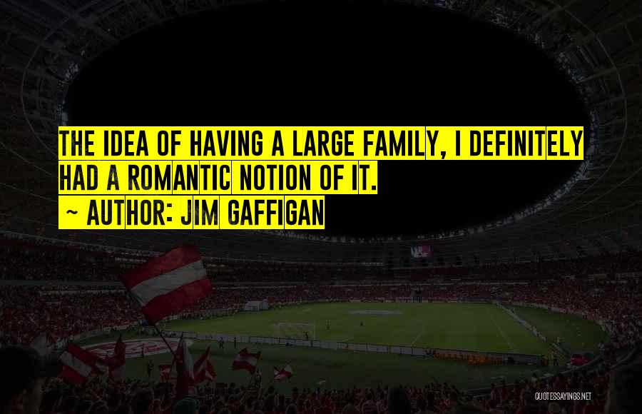 Jim Gaffigan Quotes: The Idea Of Having A Large Family, I Definitely Had A Romantic Notion Of It.