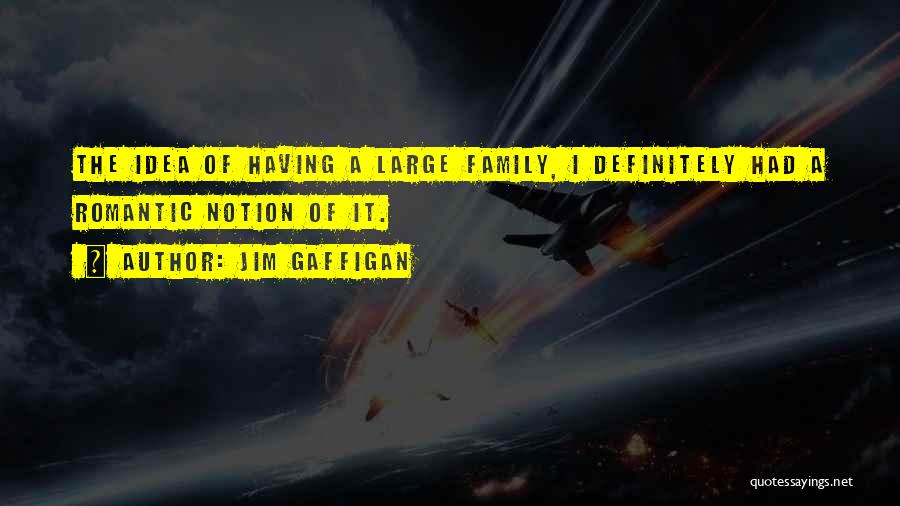 Jim Gaffigan Quotes: The Idea Of Having A Large Family, I Definitely Had A Romantic Notion Of It.