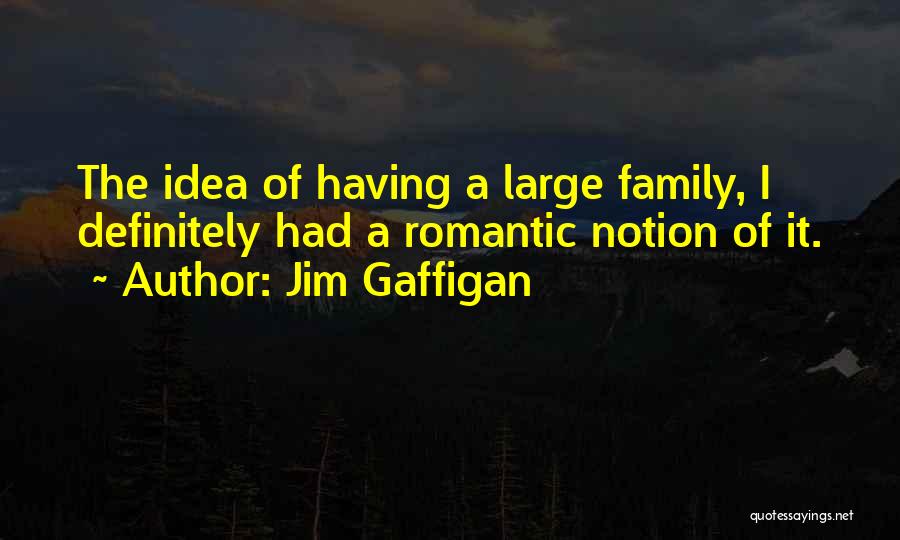 Jim Gaffigan Quotes: The Idea Of Having A Large Family, I Definitely Had A Romantic Notion Of It.