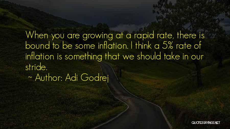 Adi Godrej Quotes: When You Are Growing At A Rapid Rate, There Is Bound To Be Some Inflation. I Think A 5% Rate