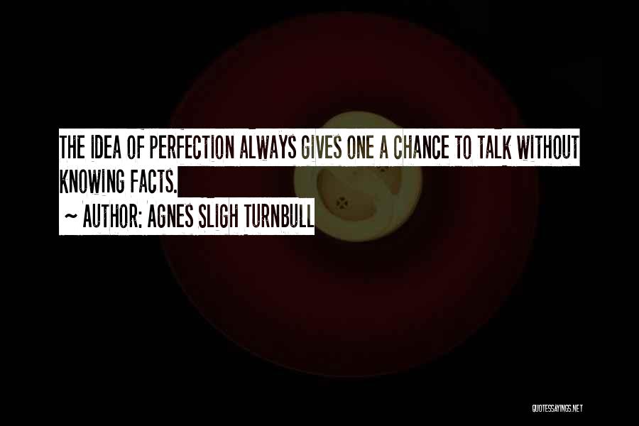 Agnes Sligh Turnbull Quotes: The Idea Of Perfection Always Gives One A Chance To Talk Without Knowing Facts.