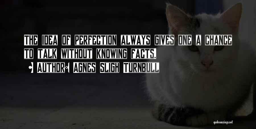Agnes Sligh Turnbull Quotes: The Idea Of Perfection Always Gives One A Chance To Talk Without Knowing Facts.