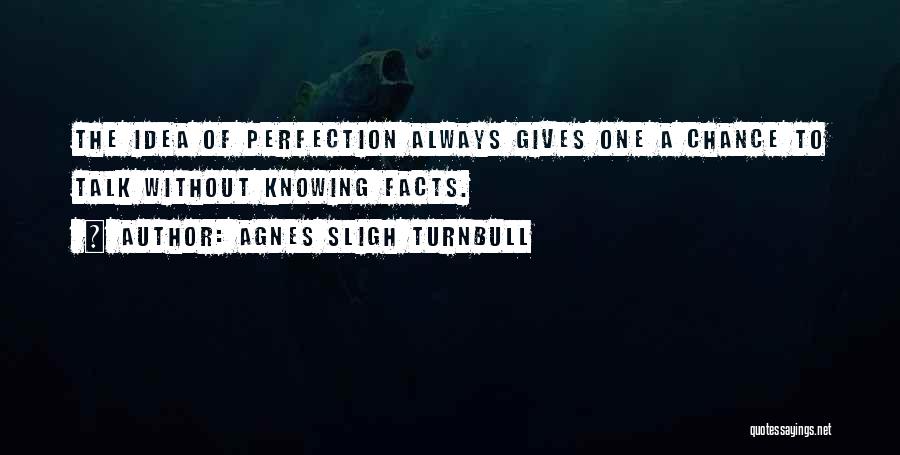 Agnes Sligh Turnbull Quotes: The Idea Of Perfection Always Gives One A Chance To Talk Without Knowing Facts.