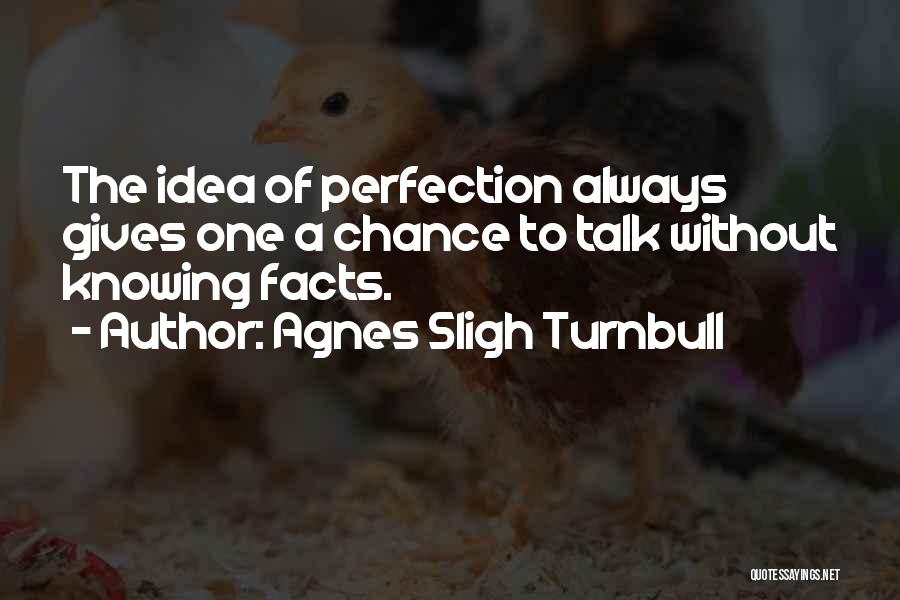 Agnes Sligh Turnbull Quotes: The Idea Of Perfection Always Gives One A Chance To Talk Without Knowing Facts.