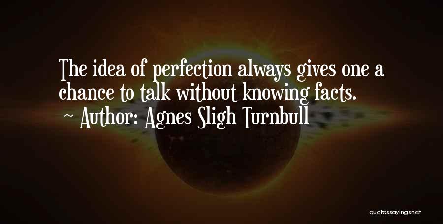 Agnes Sligh Turnbull Quotes: The Idea Of Perfection Always Gives One A Chance To Talk Without Knowing Facts.