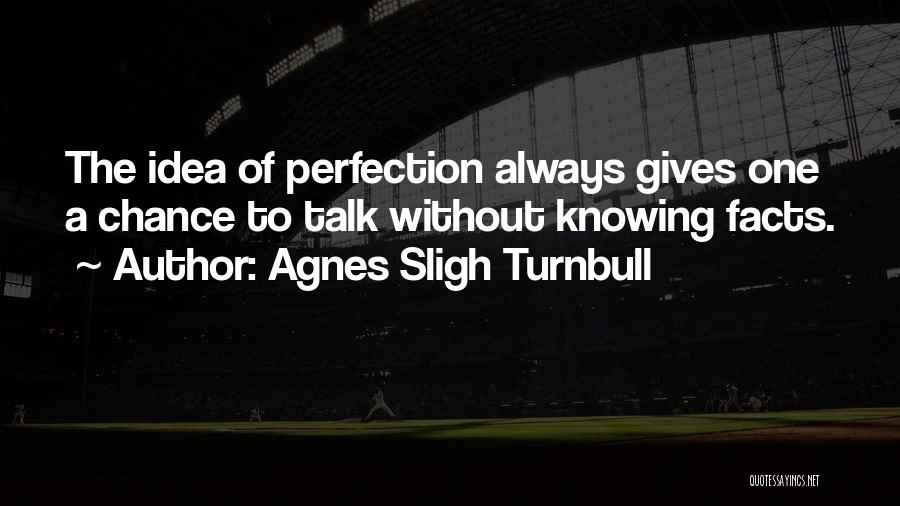 Agnes Sligh Turnbull Quotes: The Idea Of Perfection Always Gives One A Chance To Talk Without Knowing Facts.