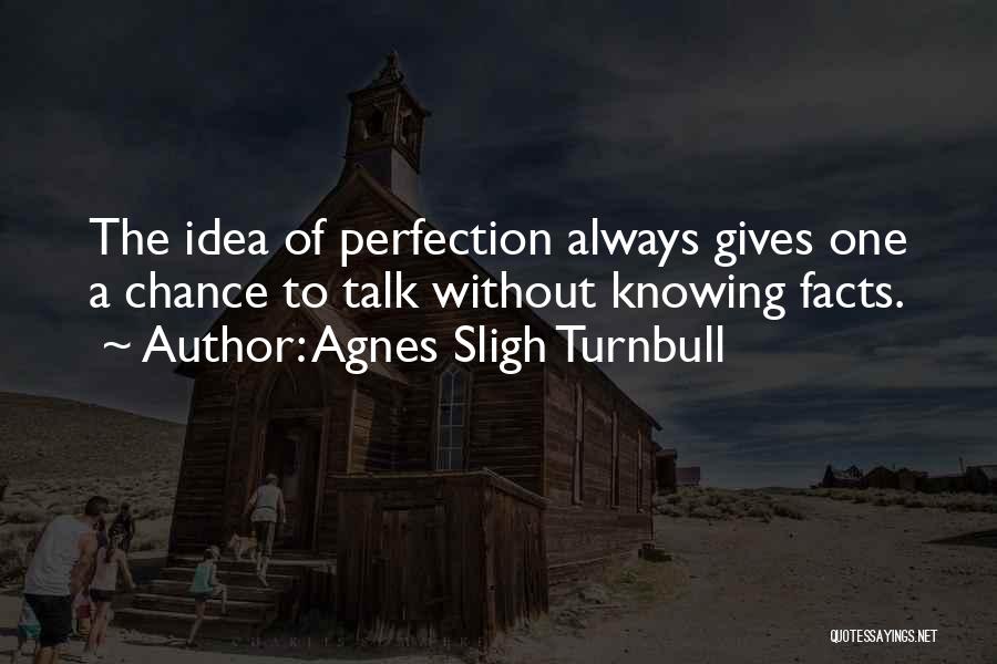 Agnes Sligh Turnbull Quotes: The Idea Of Perfection Always Gives One A Chance To Talk Without Knowing Facts.