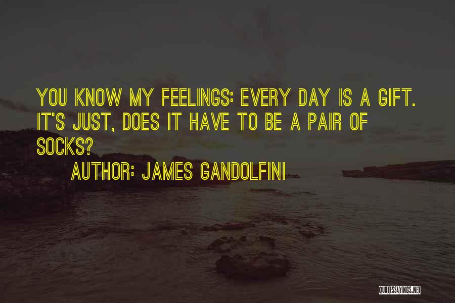 James Gandolfini Quotes: You Know My Feelings: Every Day Is A Gift. It's Just, Does It Have To Be A Pair Of Socks?