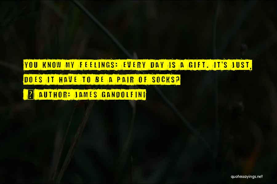 James Gandolfini Quotes: You Know My Feelings: Every Day Is A Gift. It's Just, Does It Have To Be A Pair Of Socks?